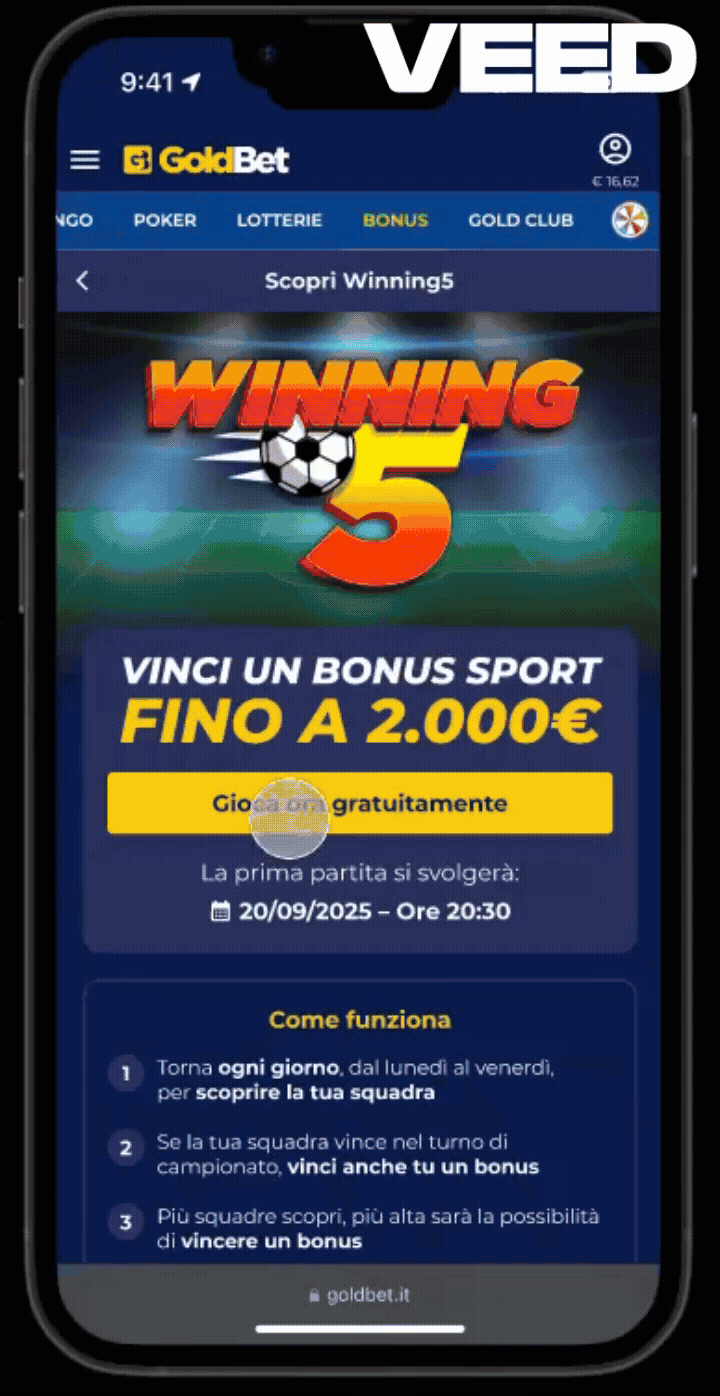 Verifica Risultati.gif