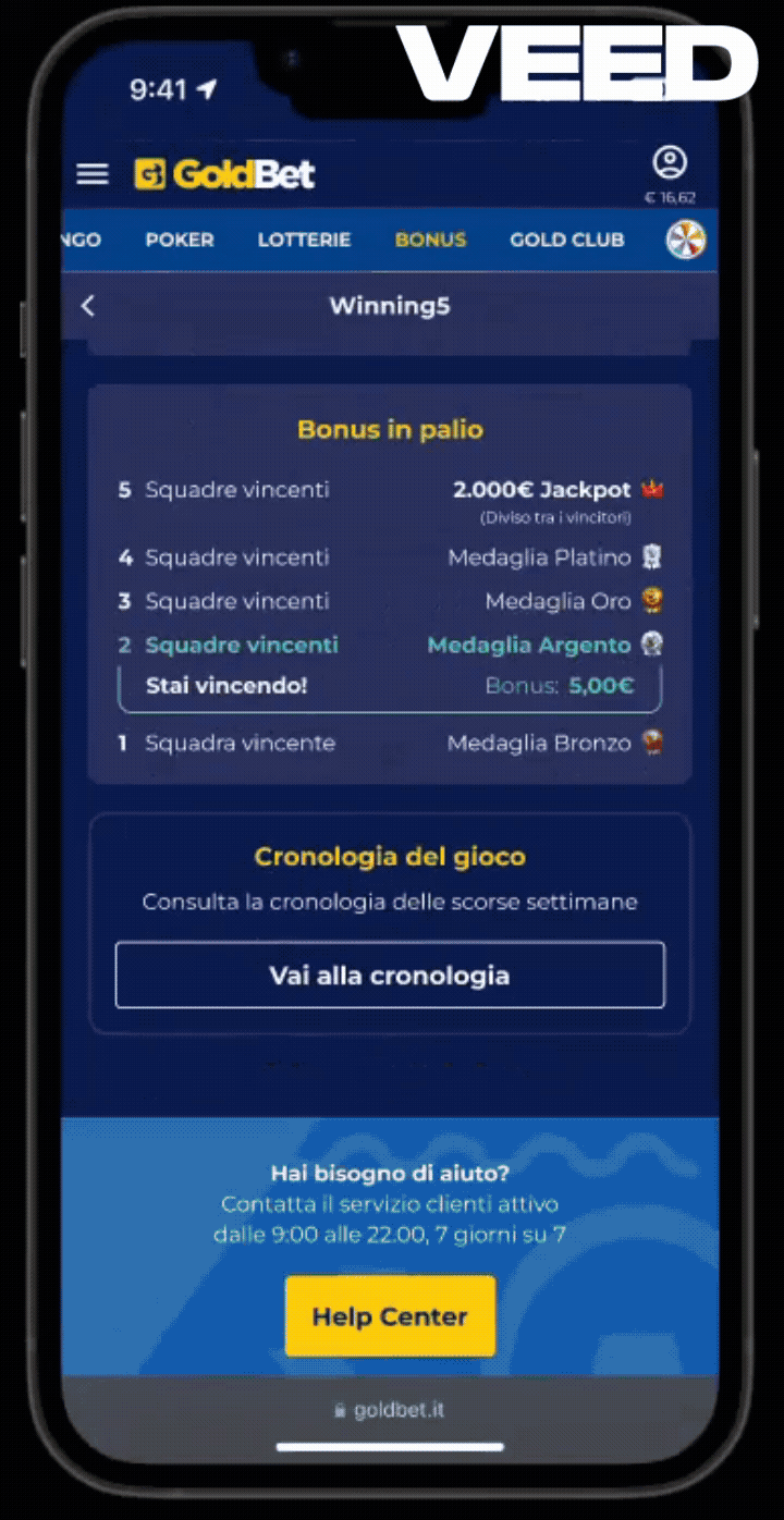 Verifica Cronologia.gif
